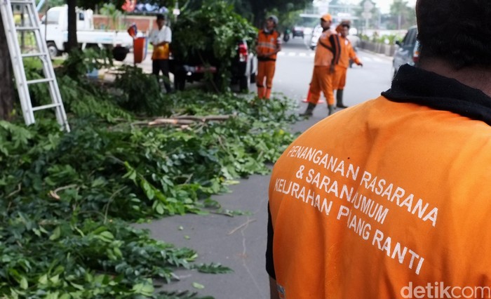 7 Oknum Ormas Diamankan Terkait Penusukan Pasukan Oranye di Kelurahan Tugu