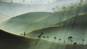 Ingin melihat berbagai keindahan lain seperti foto ini? Silakan membuka akun @skinnymonkey. Foto: Ahmad Renaldi