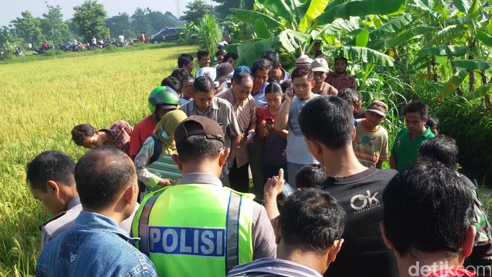 Mayat Dalam Kondisi Terluka Ditemukan di Sawah Gemparkan Warga Bantul