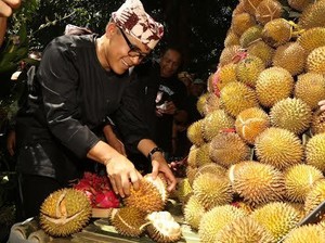Banyak Pohon Durian Hilang Akibat Beralih Jadi Kebun Sawit