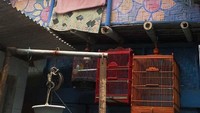 Kampung Code adalah bangunan yang mewakili budaya guyub dan harmonis masyarakat Yogyakarta. Ayo main ke Kampung Code! (Bagus/detikTravel)