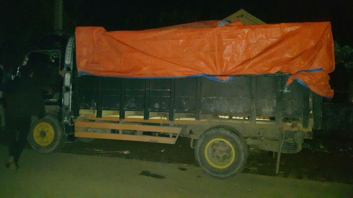 Truk yang Diamankan di Sukabumi Diperkirakan Bawa 1 Ton Lebih Ganja