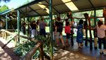 Serunya Memberi Makan Kanguru & Selfie Bareng Koala