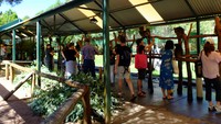 Caversham Wildlife Park buka mulai pukul 09.30-16.30 waktu setempat. Tiket masuknya adalah AUD 27 (Rp 260.000) untuk dewasa, dan AUD 12 (Rp 115.000) untuk anak-anak usia 3-14 tahun (Sastri/detikTravel)
