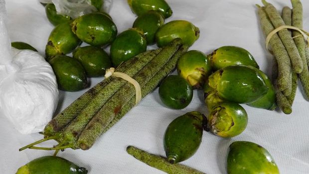 buah pinang, sirih dan kapur