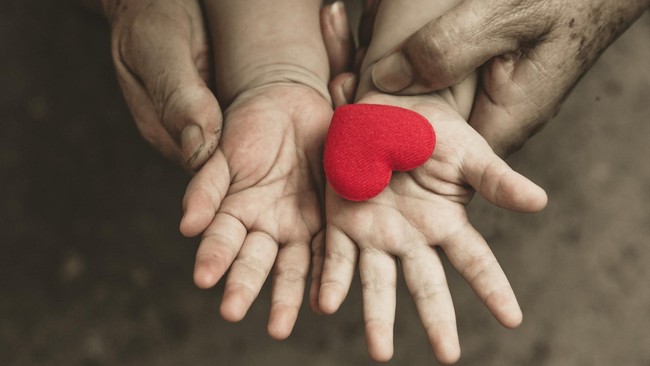 Makanan-makanan Ini Baik untuk Menjaga Kesehatan Jantung