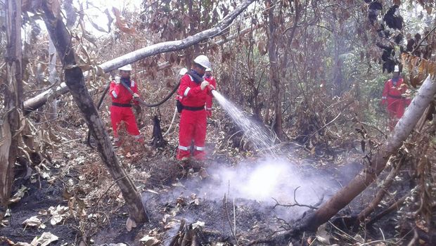 Penanganan kebakaran hutan dan lahan di Bengkalis tahun 2015.