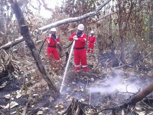 Kebakaran Lahan Masih Mengintai, BNPB Catat 47 Titik Panas di Sumatera
