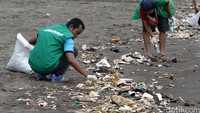 Para aktivis Greenpeace memunguti sampah yang berserakan. (Afriadi Hikmal/Greenpeace)