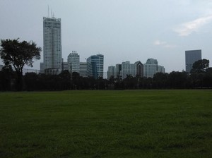 Hutan Kota di Senayan akan Ditanami Pohon Langka
