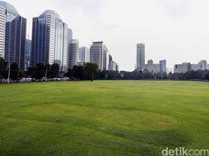 Sebuah Cita-cita Membangun Hutan di Jantung Kota Jakarta, di Sudirman!