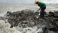 Aksi ini merupakan bagian dari dukungan Greenpeace terhadap Gerakan Indonesia Bebas Sampah 2020. (Afriadi Hikmal/Greenpeace)