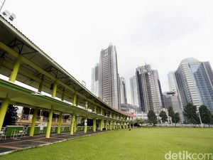 Komisi IV DPR Dukung Pemerintah Sulap Senayan Golf Jadi Hutan Kota