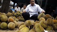 Marwan memilih durian yang akan dibelinya.