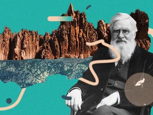 Kisah Alfred Russell Wallace, Ilmuwan Pertama yang Sadari Uniknya Hewan Papua