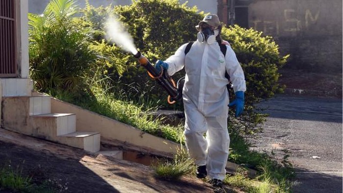 Korea Selatan Konfirmasi Hadirnya Kasus Pertama Virus Zika
