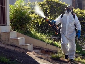 Korea Selatan Konfirmasi Hadirnya Kasus Pertama Virus Zika