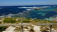 Rottnest Island adalah pulau paling populer di kalangan turis yang berkunjung ke Western Australia. Pulau ini bisa ditempuh 30 menit perjalanan ferry dari Kota Fremantle (Sastri/detikTravel)
