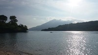 Foto: Menjelang sore, dari tepi pantai terkadang wisatawan bisa melihat lumba-lumba. Mereka datang berkelompok dan sesekali terlihat di permukaan (Kurnia/detikTravel)