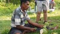Foto: Kalau haus, wisatawan bisa memesan kelapa muda. Kelapa yang dijual pun masih segar, baru dipetik dari pohon (Kurnia/detikTravel)