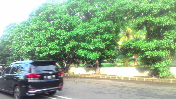 Genangan di Kelapa Gading Surut Disedot Petugas Damkar