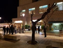 Jepretan Low Light Kamera Galaxy S7