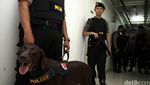 Razia Narkoba, BNN Libatkan Anjing K9