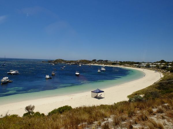 Deretan Pantai Cantik Bak Surga di Rottnest Island, Australia
