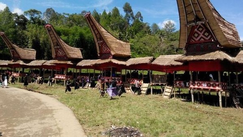  Rambu  Solok Festival  Kematian Unik Ala Tana Toraja