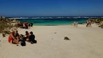 Deretan Pantai Cantik Bak Surga di Rottnest Island, Australia