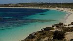 Deretan Pantai Cantik Bak Surga di Rottnest Island, Australia