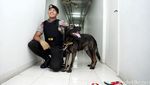 Razia Narkoba, BNN Libatkan Anjing K9