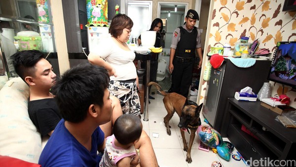 Razia Narkoba, BNN Libatkan Anjing K9
