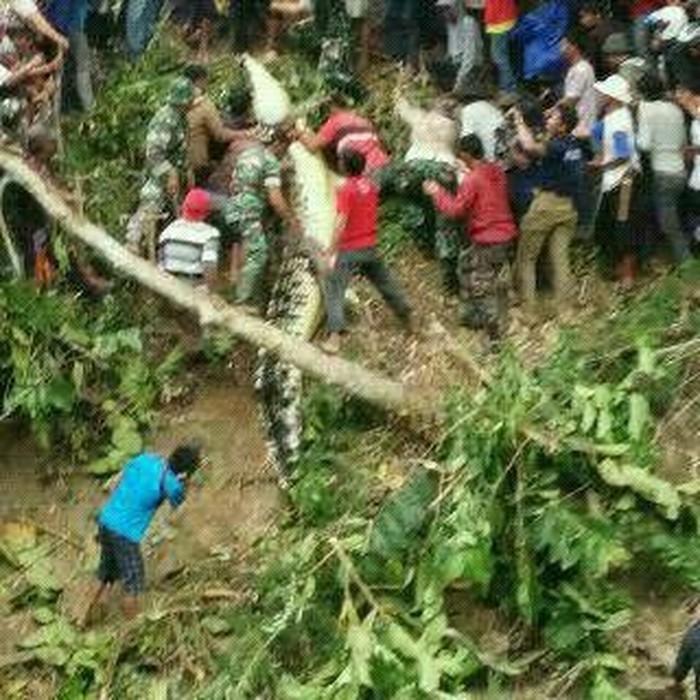 Buaya Sepanjang 4,3 Meter ini Diberondong Peluru karena Memangsa Kakek Bani