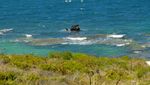 Deretan Pantai Cantik Bak Surga di Rottnest Island, Australia