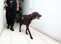 Razia Narkoba, BNN Libatkan Anjing K9