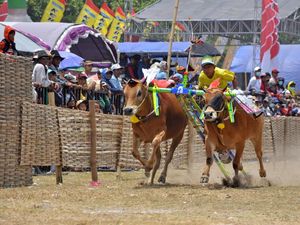 5 Olahraga Tradisional Masyarakat Jawa Timur