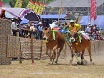 5 Olahraga Tradisional Masyarakat Jawa Timur