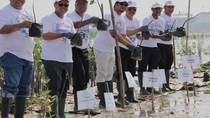 2.700 Mangrove Ditanam di Pulau Galang