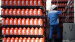 Melihat Produksi Oli