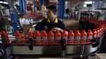 Melihat Produksi Oli
