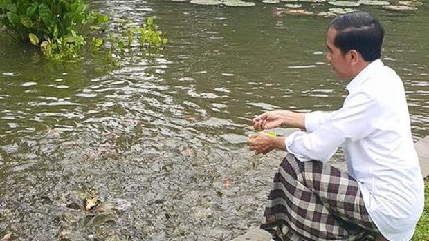 Kodok, Kambing hingga Biawak Hiburan Jokowi di Istana Bogor 