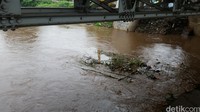 Di sungai Ciliwung, ketinggian air masih terlihat normal meski ada sampah seperti potongan pohon dan kayu yang ikut mengalir.