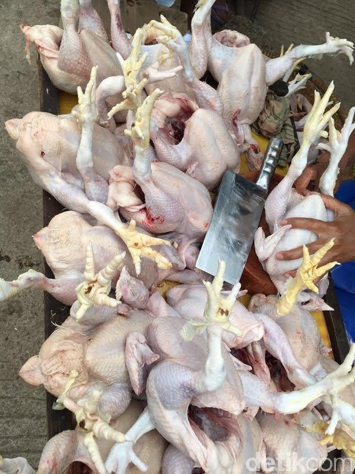 Harga Ayam di Jakarta Turun Jadi Rp 30.000/Ekor