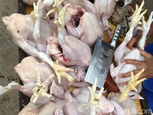 Harga Ayam di Jakarta Turun Jadi Rp 30.000/Ekor