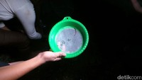 Mereka membawa jala atau disebut dengan istilah serokan. Dengan lampu penerangan seadanya, setiap jengkal sisi Pantai Seger disusuri untuk mencari keberadaan Putri Mandalika.