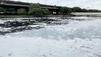Suasana Kali Ancol,Jakarta Utara, yang tercemar limbah, Sabtu (27/02/2016).