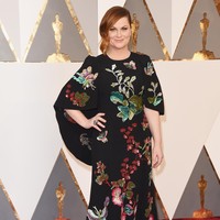 Amy Poehler dengan mantan suaminya Will Arnett dikaruniai dua anak, yaitu Archie lahir pada 2008 dan Abel lahir pada 2010. Kariernya sebagai aktris dan komedian sedang berkembang pesat, namun ia memilih tinggal di rumah bersama anak-anaknya. Foto: Jason Merritt/Getty Images