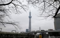 Tokyo Skytree (Ari Saputra/detikcom)