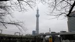 Foto: Tempat Terbaik Melihat Tokyo